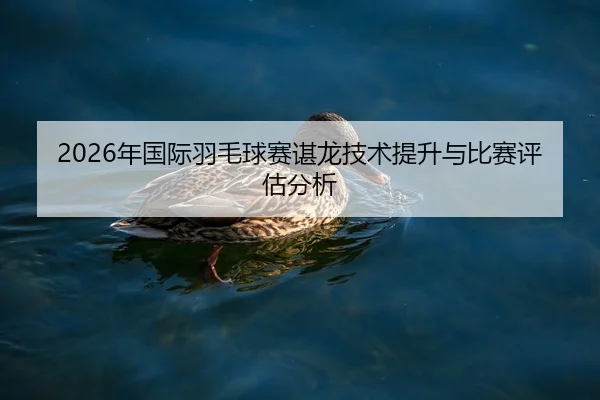 2026年国际羽毛球赛谌龙技术提升与比赛评估分析