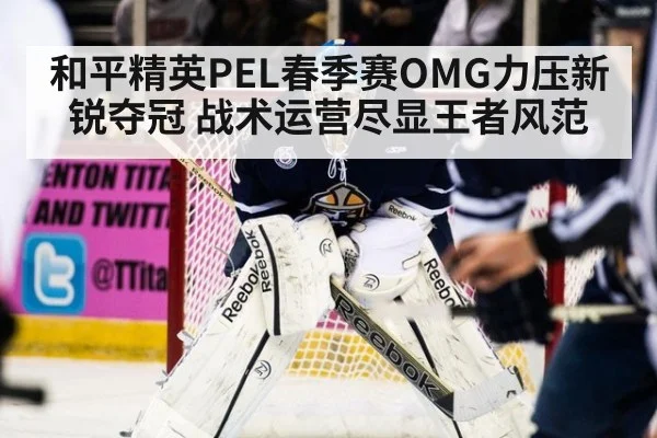 和平精英PEL春季赛OMG力压新锐夺冠 战术运营尽显王者风范
