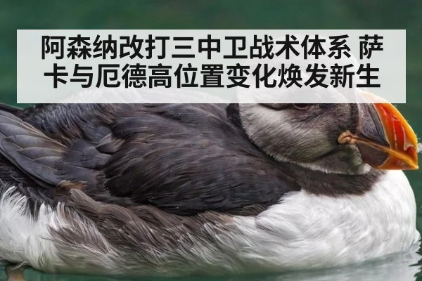 阿森纳改打三中卫战术体系 萨卡与厄德高位置变化焕发新生